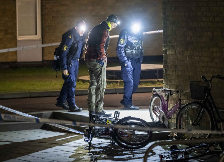 Jente pågrepet og mistenkt for drapet på Rosengård var etterlyst for et annet drap&nbsp;<span>(+)</span>