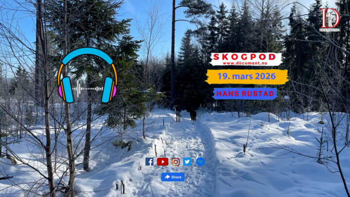 Skogpod 19. mars 2026
