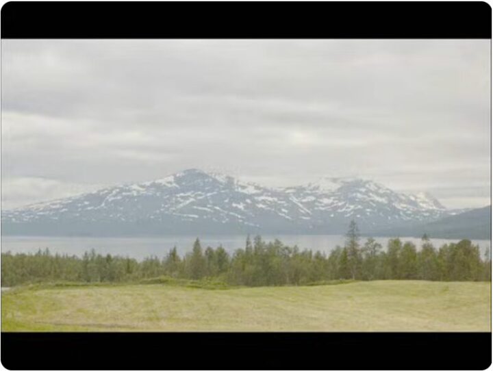 Interlude: Vårvindar friska