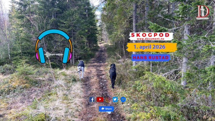 Skogpod 1. april 2026
