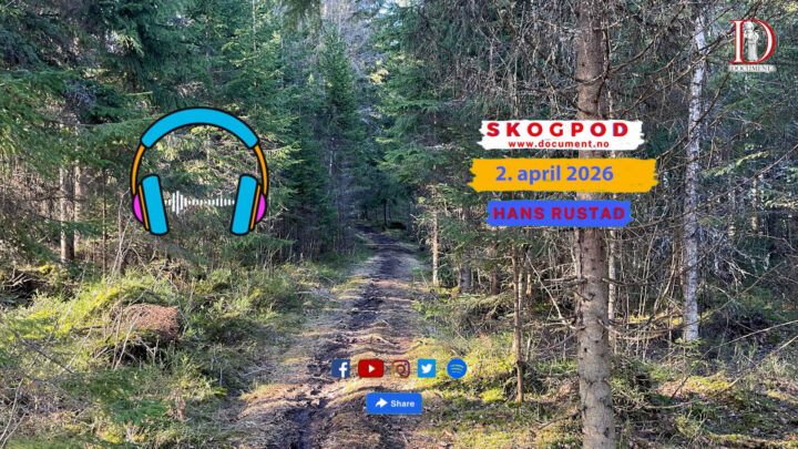 Skogpod 2. april 2026