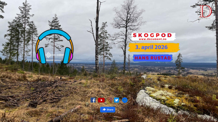 Skogpod 3. april 2026