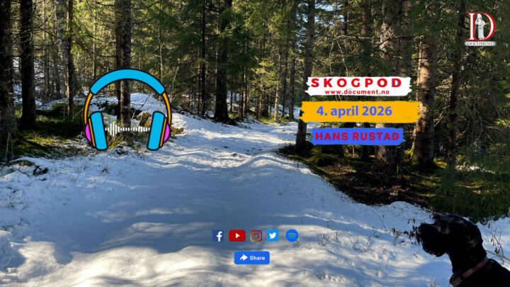 Skogpod 4. april 2026