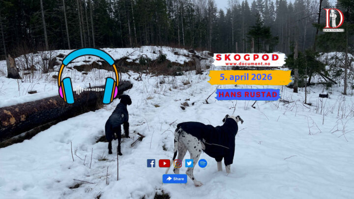 Skogpod 5. april 2026