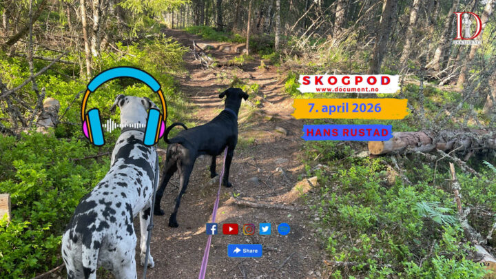 Skogpod 7. april 2026