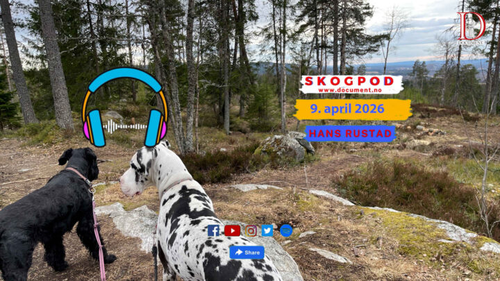 Skogpod 9. april 2026