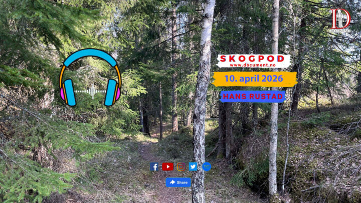 Skogpod 10. april 2026