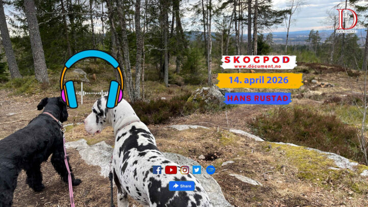 Skogpod 14. april 2026