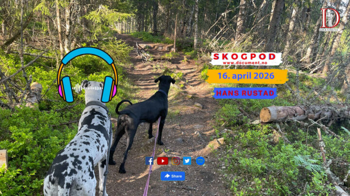 Skogpod 16. april 2026