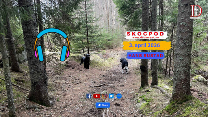 Skogpod 17. april 2026