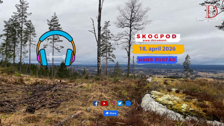 Skogpod 18. april 2026