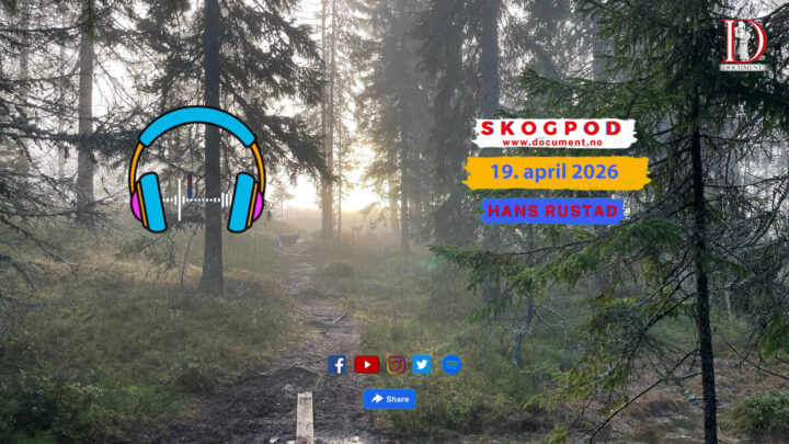 Skogpod 19. april 2026