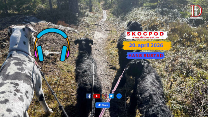 Skogpod 20. april 2026