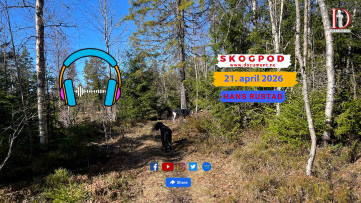 Skogpod 21. april 2026
