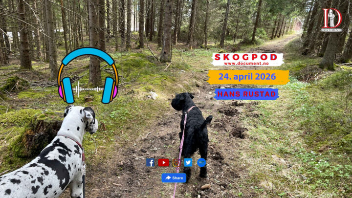 Skogpod 24. april 2026