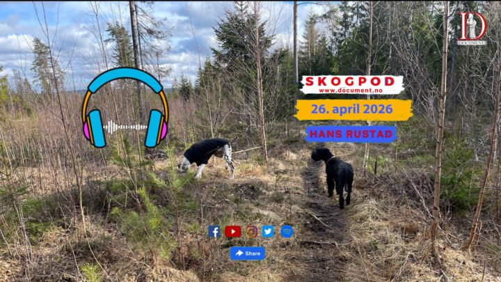 Skogpod 26. april 2026