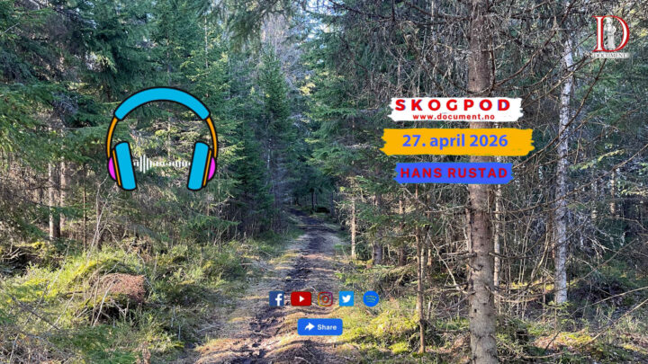 Skogpod 27. april 2026