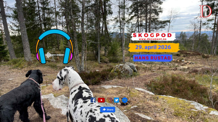 Skogpod 29. april 2026