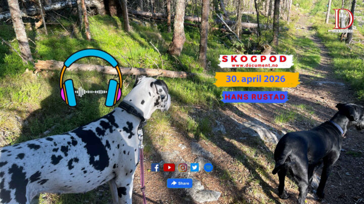 Skogpod 30. april 2026