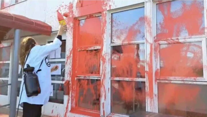 Klimaaktivist nektes svensk statsborgerskap&nbsp;<span>(+)</span>