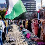 Befolkningen skiftes ut til blodpris