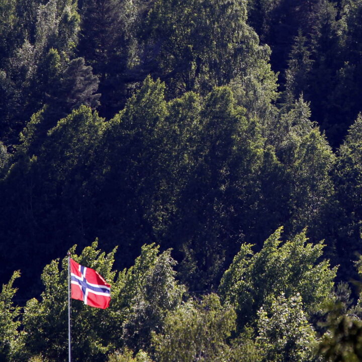 Vil hugge ned skogen for å redde klimaet&nbsp;<span>(+)</span>