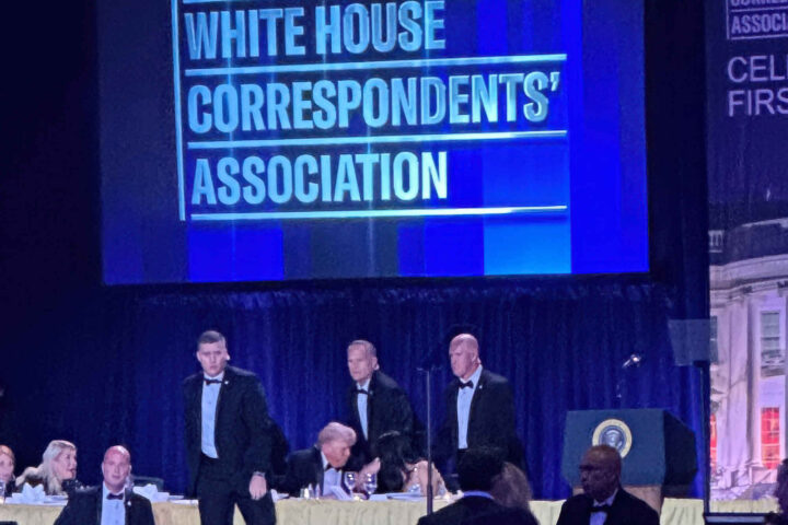 Gulliver mot lilleputtene&nbsp;<span>(+)</span>