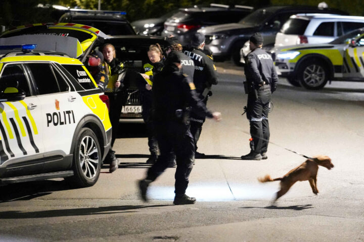 To unge menn varetekts&shy;fengslet i fire uker etter skyting på Holmlia