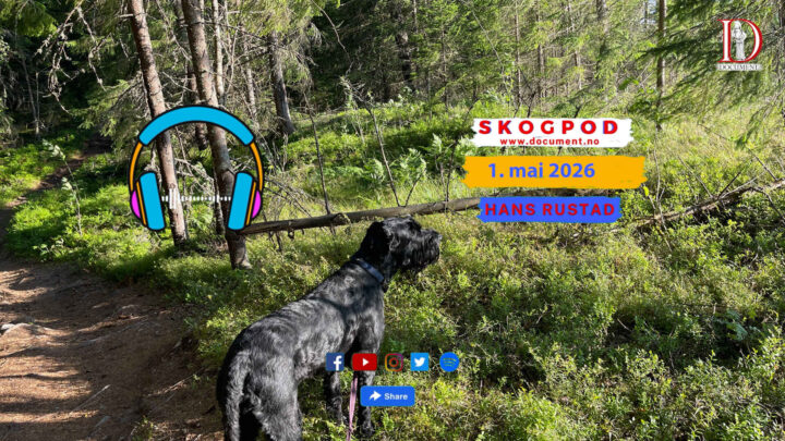 Skogpod 1. mai 2026