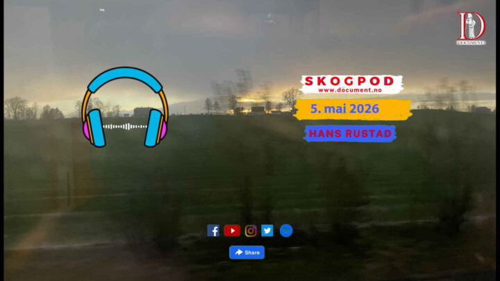 Skogpod 5. mai 2026