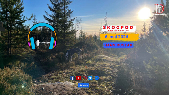 Skogpod 6. mai 2026