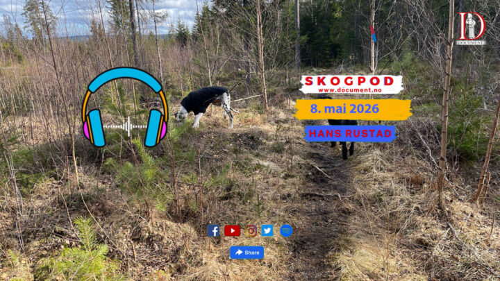 Skogpod 8. mai 2026