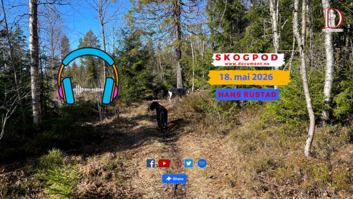 Skogpod 18. mai 2026