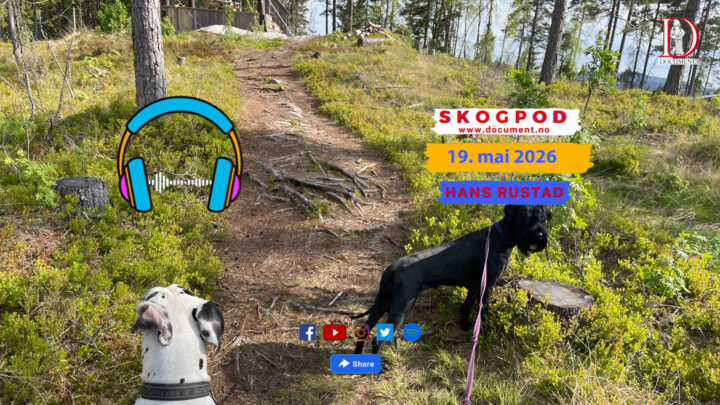 Skogpod 19. mai 2026