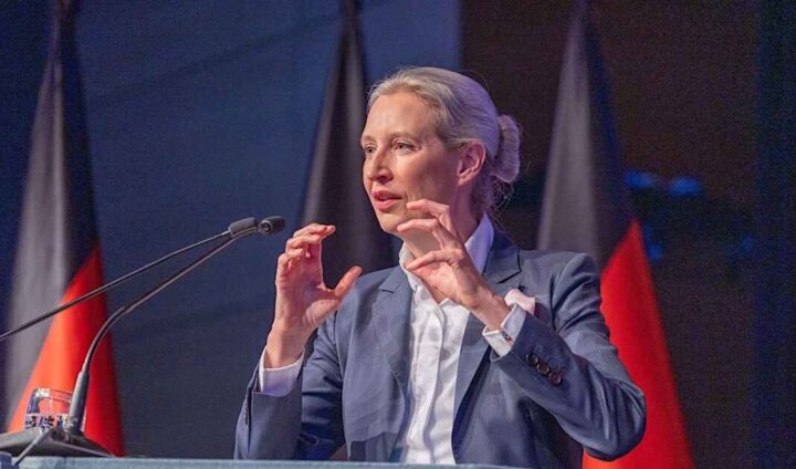 AfD setter ny rekord på menings­måling&nbsp;<span>(+)</span>