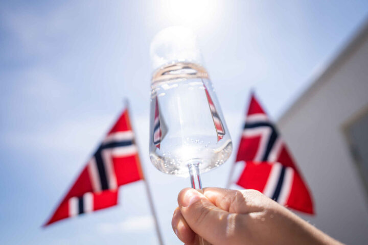 Derfor er 17. mai så viktig&nbsp;<span>(+)</span>