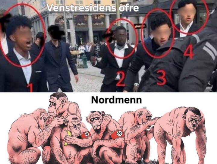 Hvorfor forakter noen nordmenn sitt eget folk?&nbsp;<span>(+)</span>