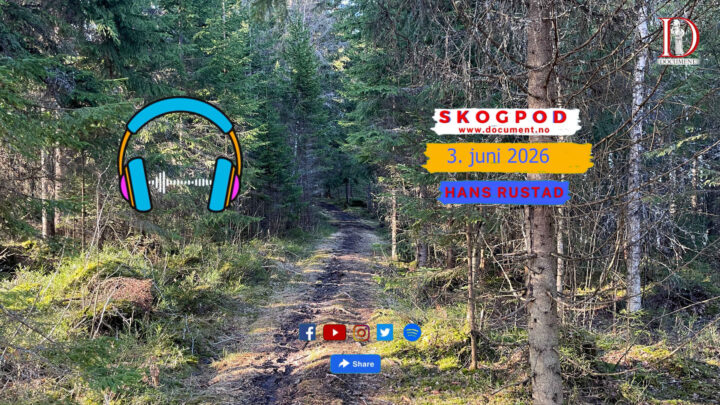 Skogpod 3. juni 2026