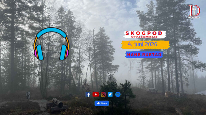 Skogpod 4. juni 2026