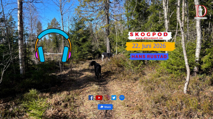 Skogpod 22. juni 2026