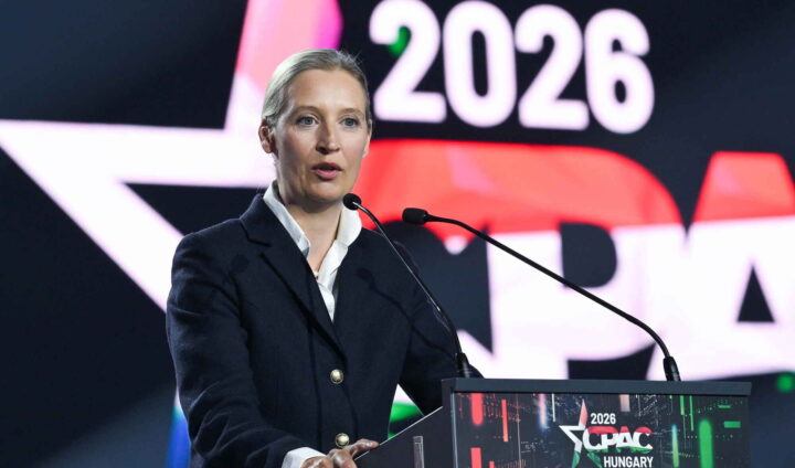 AfD befester posisjonen som størst, men det hjelper ikke&nbsp;<span>(+)</span>