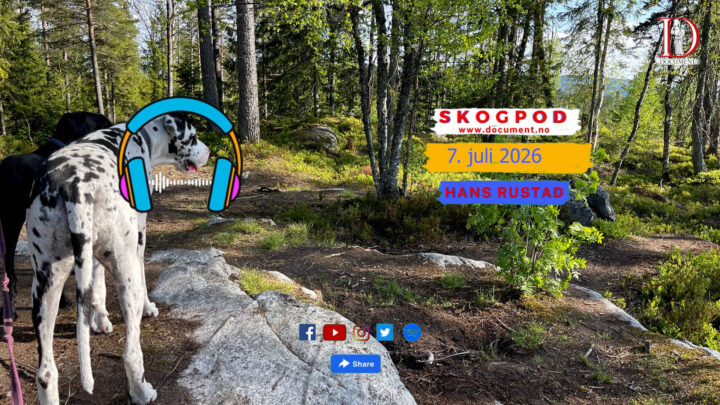 Skogpod 7. juli 2026