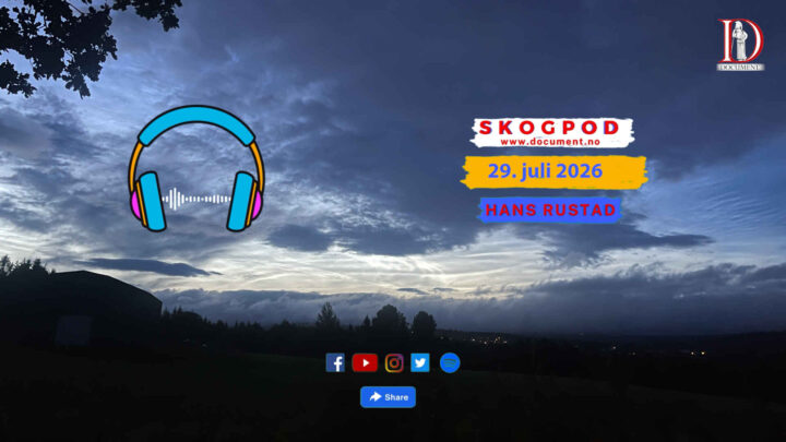 Skogpod 29. juli 2026