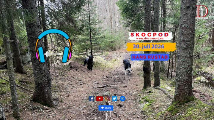 Skogpod 30. juli 2026