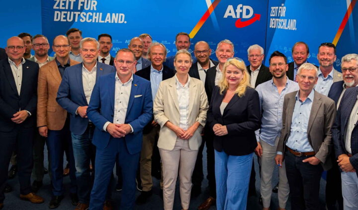 Jurister gjør et forsøk på å rydde AfD av veien&nbsp;<span>(+)</span>
