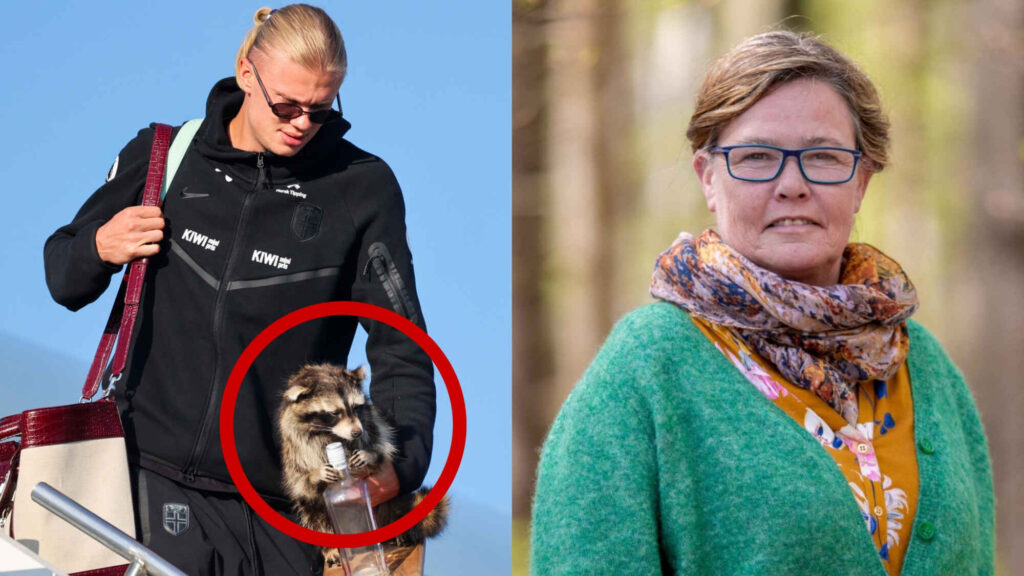 MDG-politiker langer ut mot Haaland: – Jeg er sjukt skuffa