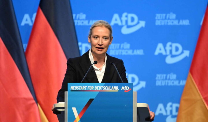 Et forbud mot AfD har ikke flertall i den tyske opinionen&nbsp;<span>(+)</span>