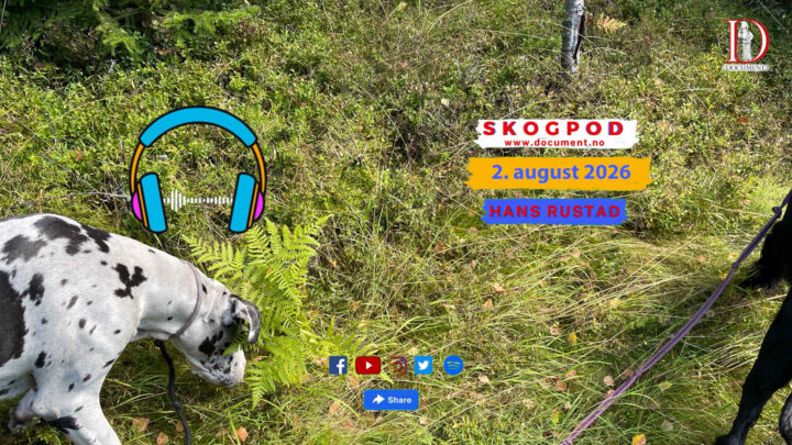 Skogpod 2. august 2026