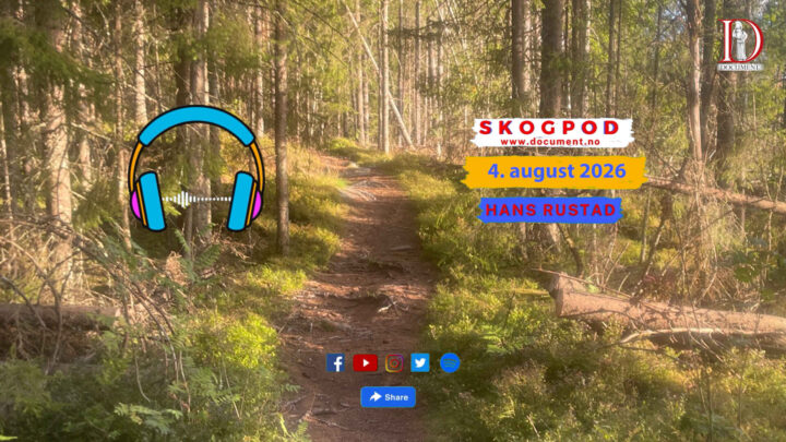 Skogpod 4. august 2026