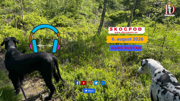 Skogpod 6. august 2026